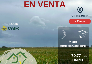 CAMPO EN VENTA 